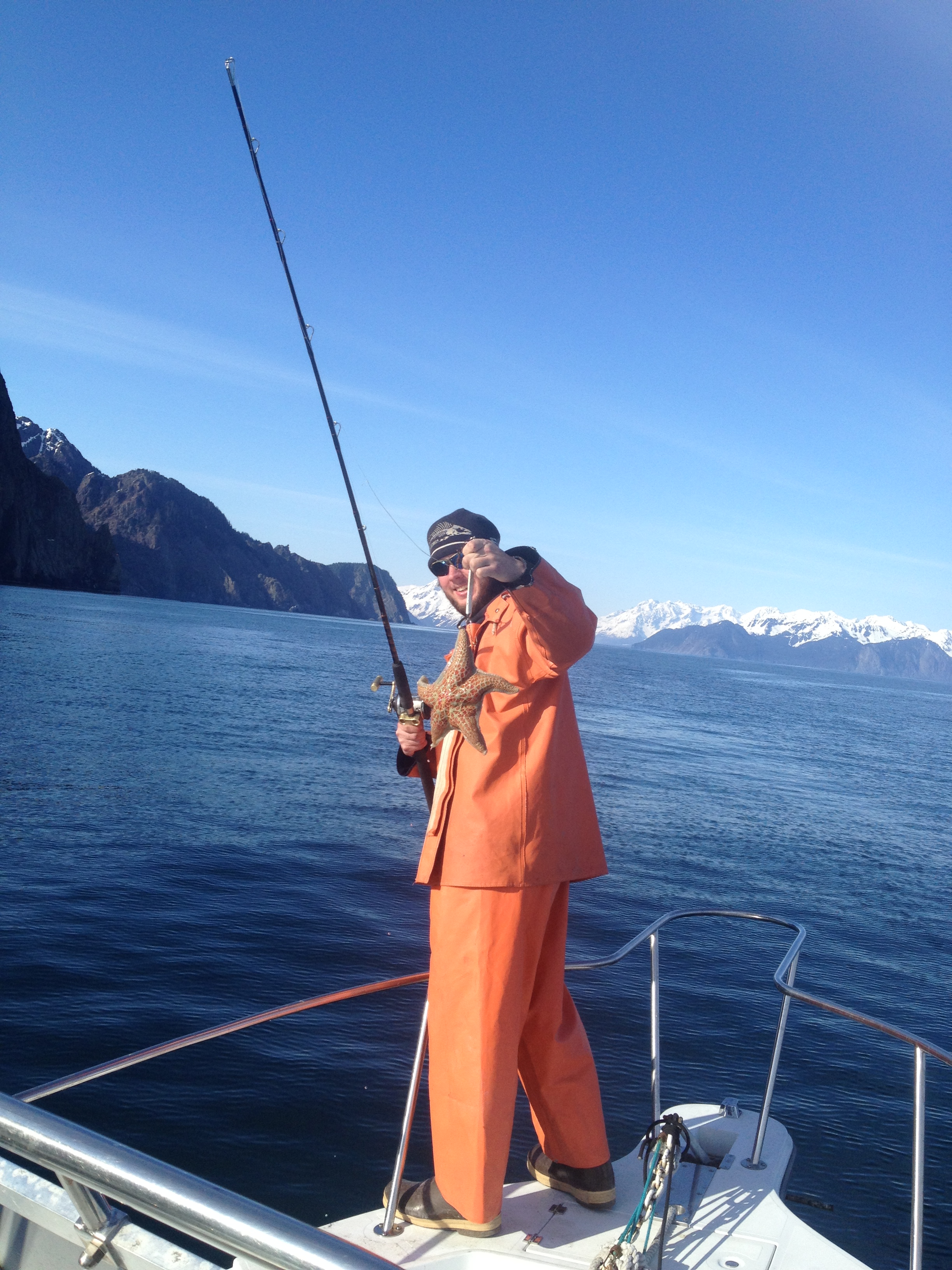 A starfish is caught on rod and reel