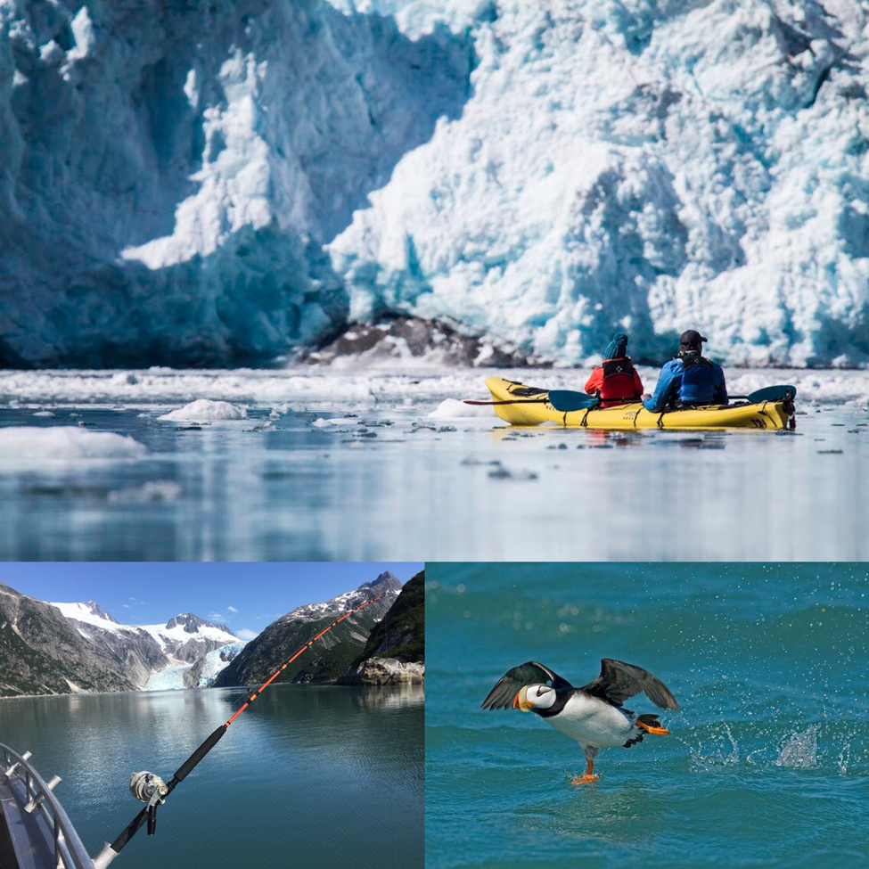 Fish, Kayak, and Sight See Glaciers - Best of Alaska Tour at Miller's Landing