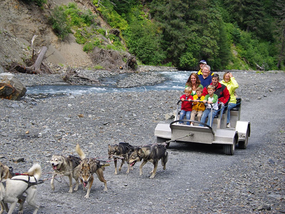 Dogsledding -- Seavey's IdidaRide