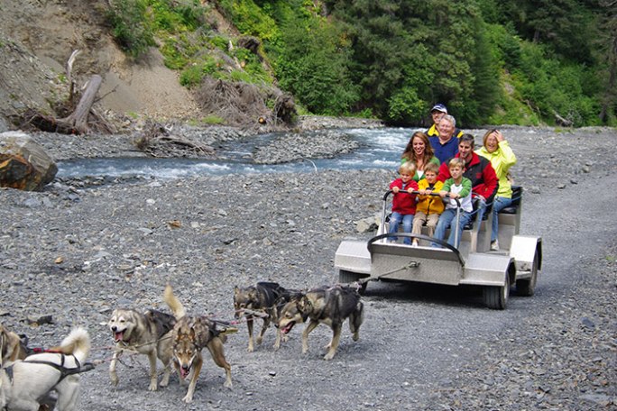 Dogsledding -- Seavey's IdidaRide